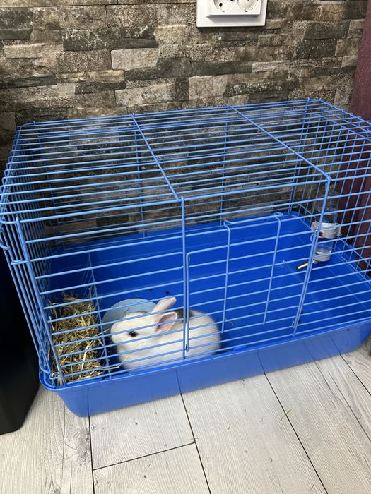 Декоративно зайче бебе