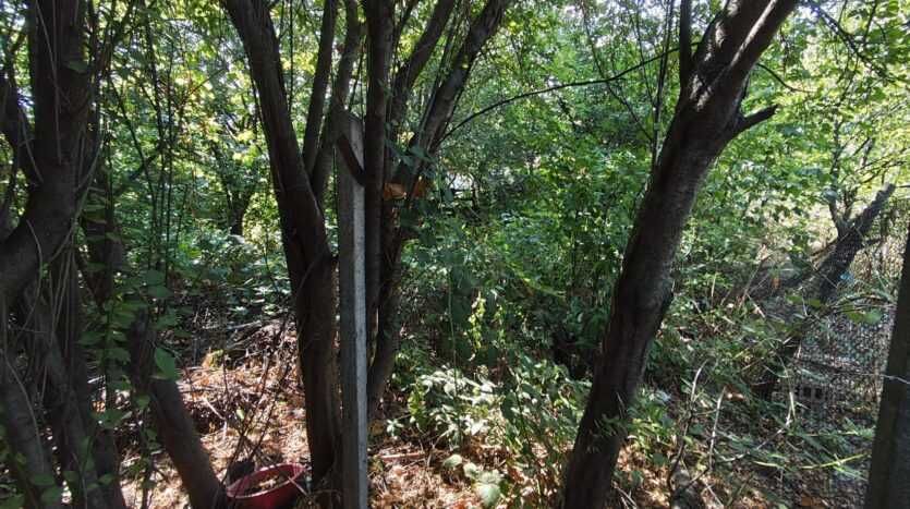 Продава се Къща в Търговище, Център - 85 кв.м за 774 €/кв.м - Снимка #11