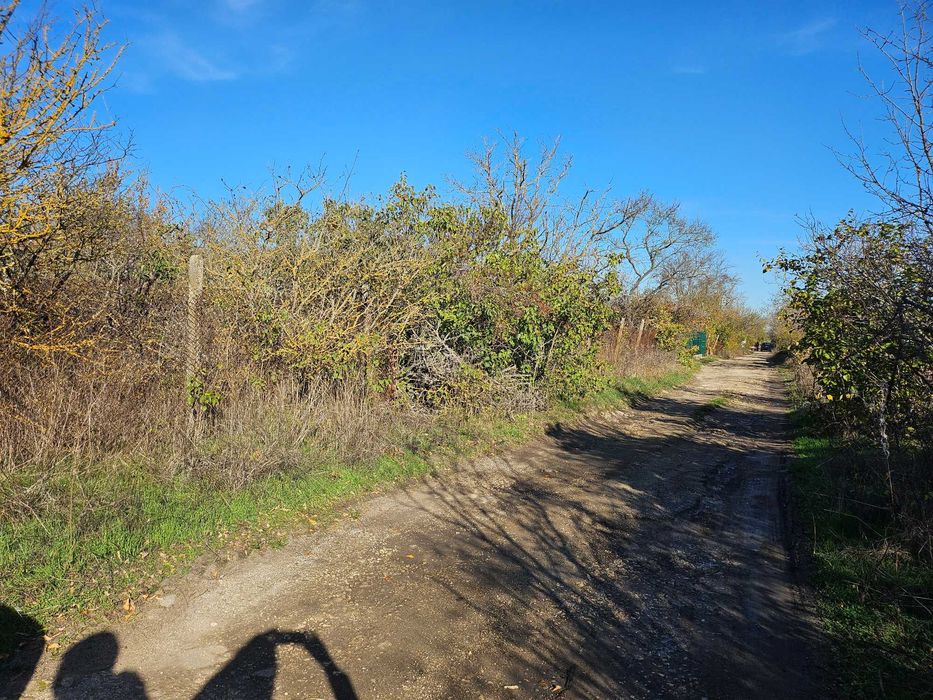 Продава се Парцел в с. Осеново, Област Варна - 600 кв.м за 38 €/кв.м - Снимка #5