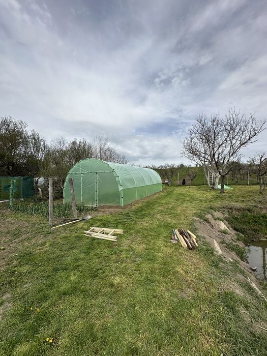 Arcade,solare legume