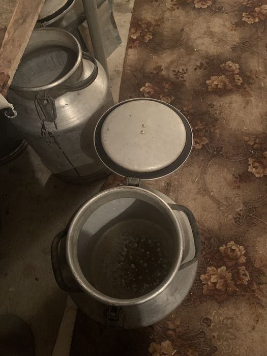 Бедоны для молока