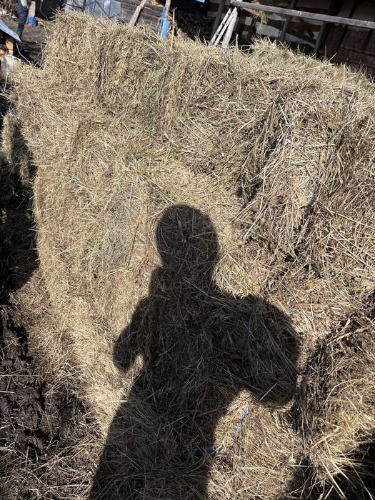 Vand  baloti de fân