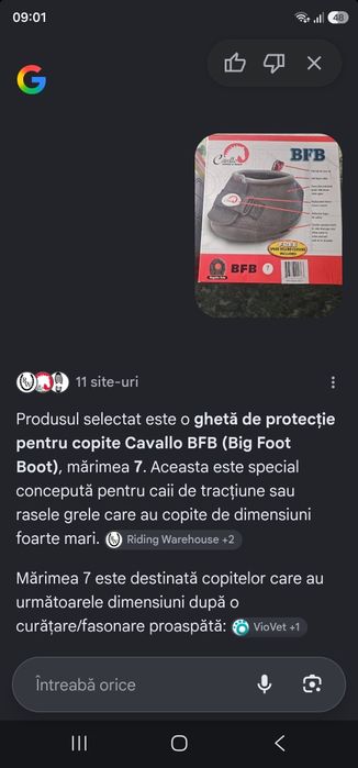Încălțăminte cai doar pentru cunoscători  vei ști că este la jumătate de preț