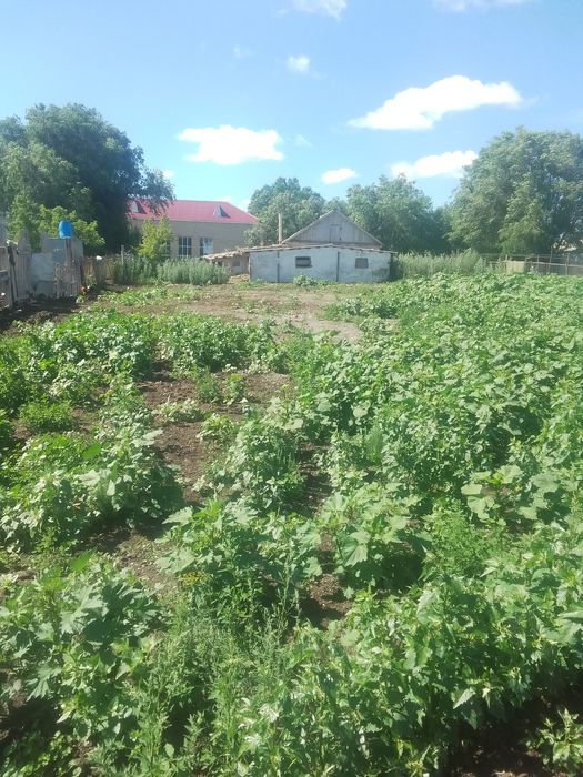 Продам дом в Поселке