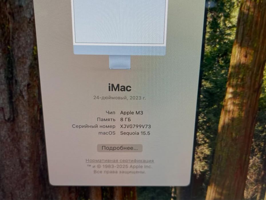 iMac 24 M3 2023/8GB/SSD256 Retina