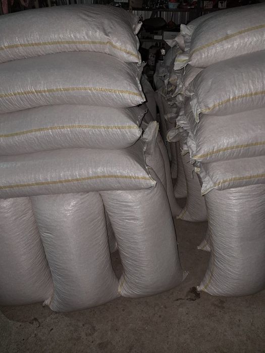 Porumb uscat ambalat la sac