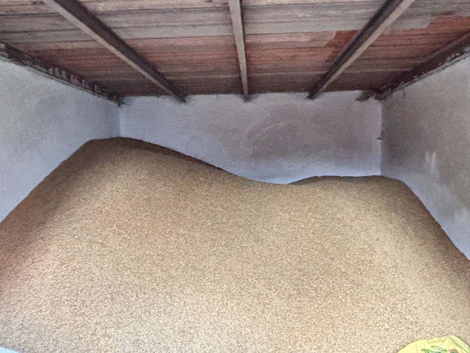 Vând cereale plus lucernă