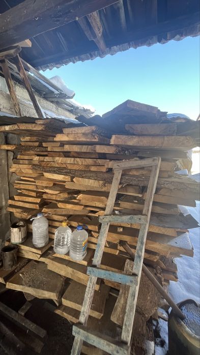 Продам лес  Дуб карагач тополь