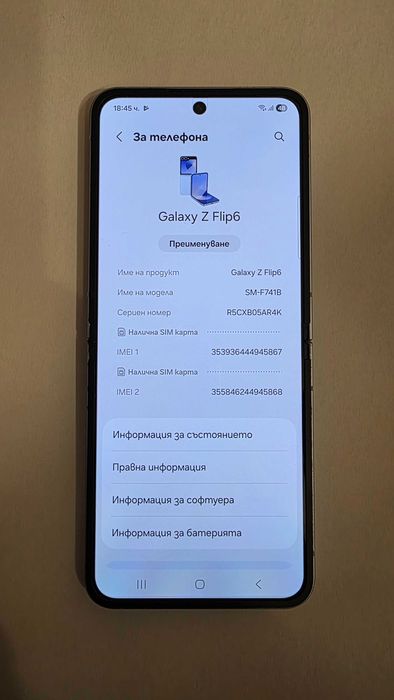 Samsung Galaxy Z Flip 6 Blue 256 GB