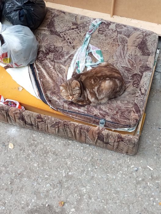 Муж на час два три