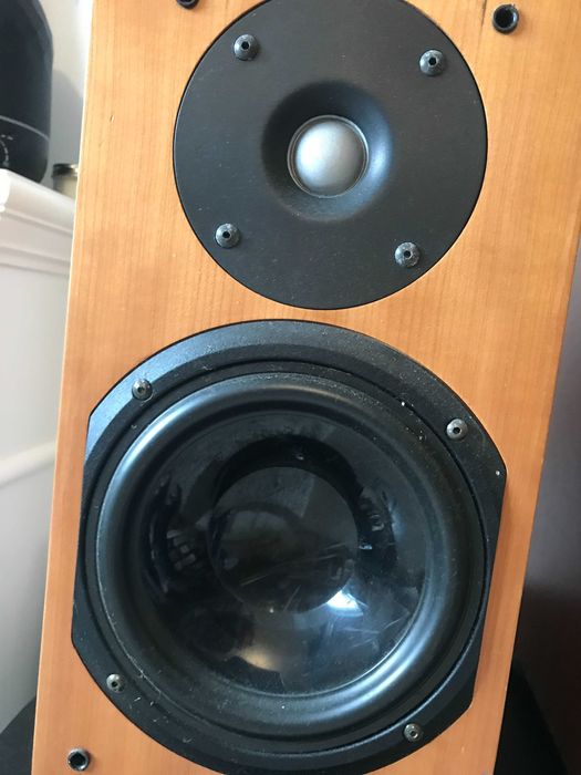 Chario Silverette 200 boxe