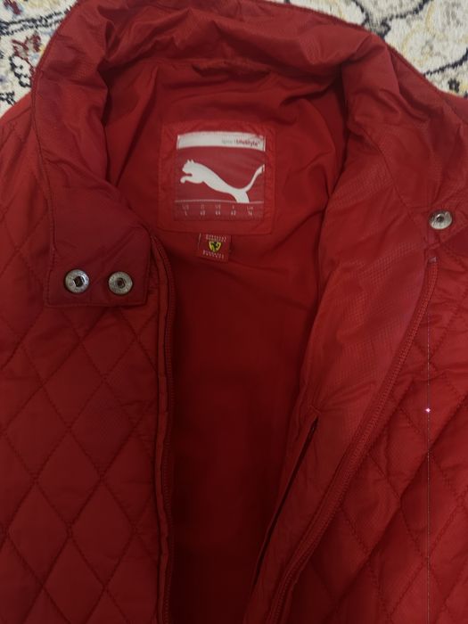 Puma ferrari. Пума феррари