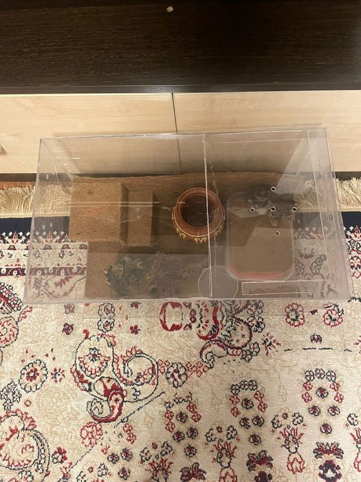 Террариум для рептилий