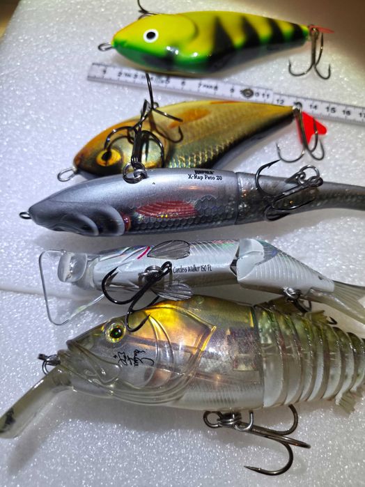 Rapala , Salmo , Strike