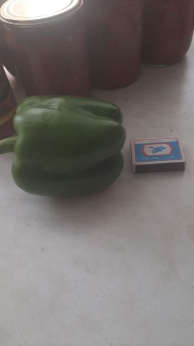 Продам сладкий перец