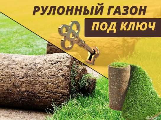 ИДЕАЛЬНЫЙ Рулонный газон с укладкой под ключ Посев газонная трава: 1 ...