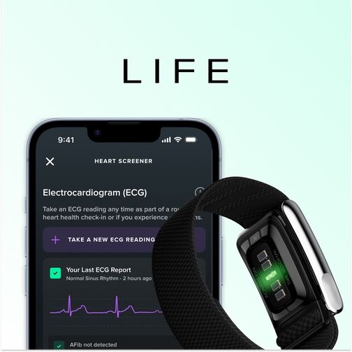 Фитнес браслет Whoop Life