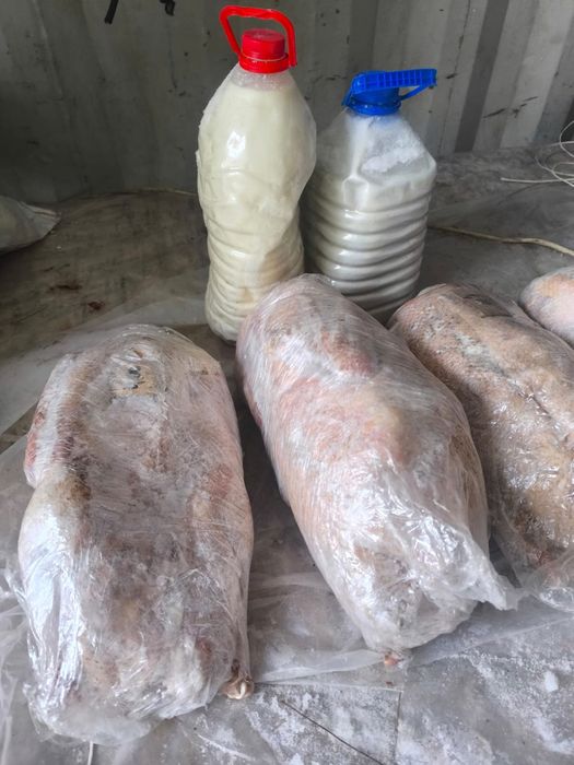 Продам гуси мясо