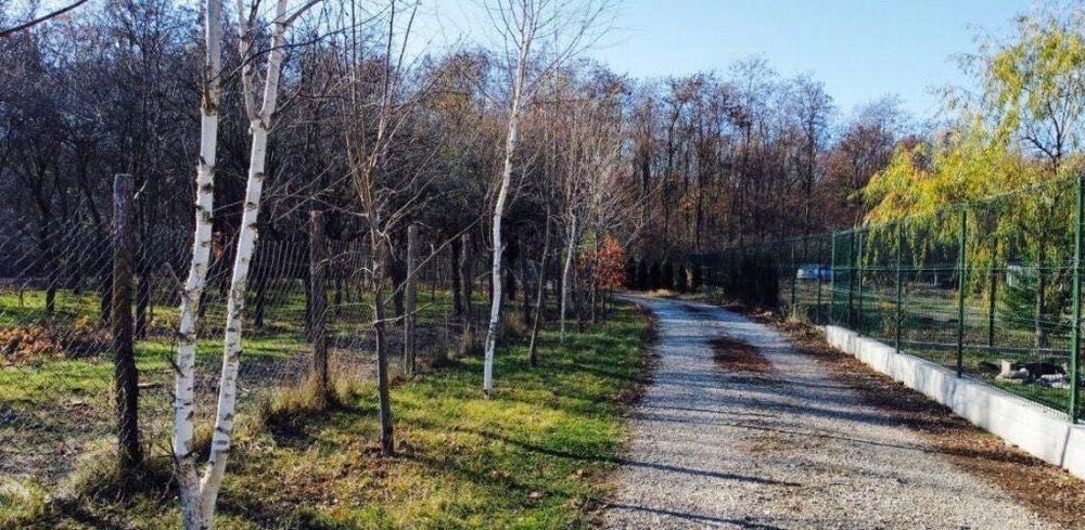 Teren de vânzare vizavi de Pădurea Snagov