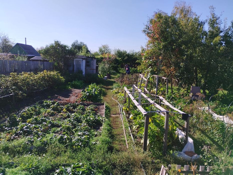 Срочно продам дачу