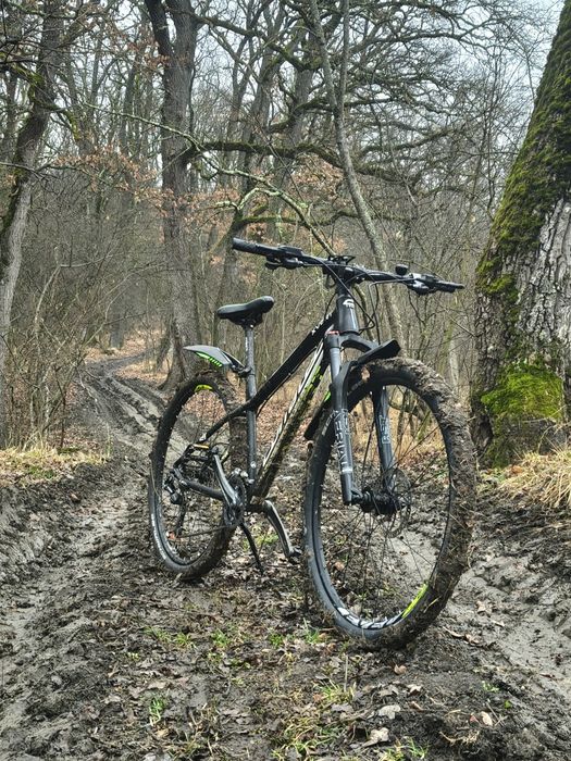 Corratec x-vert expert 29 ingh XL