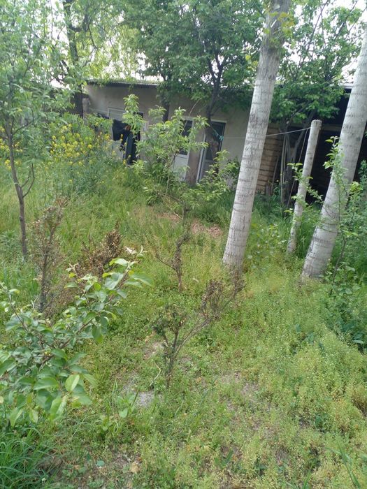 Земельный участок в городе.