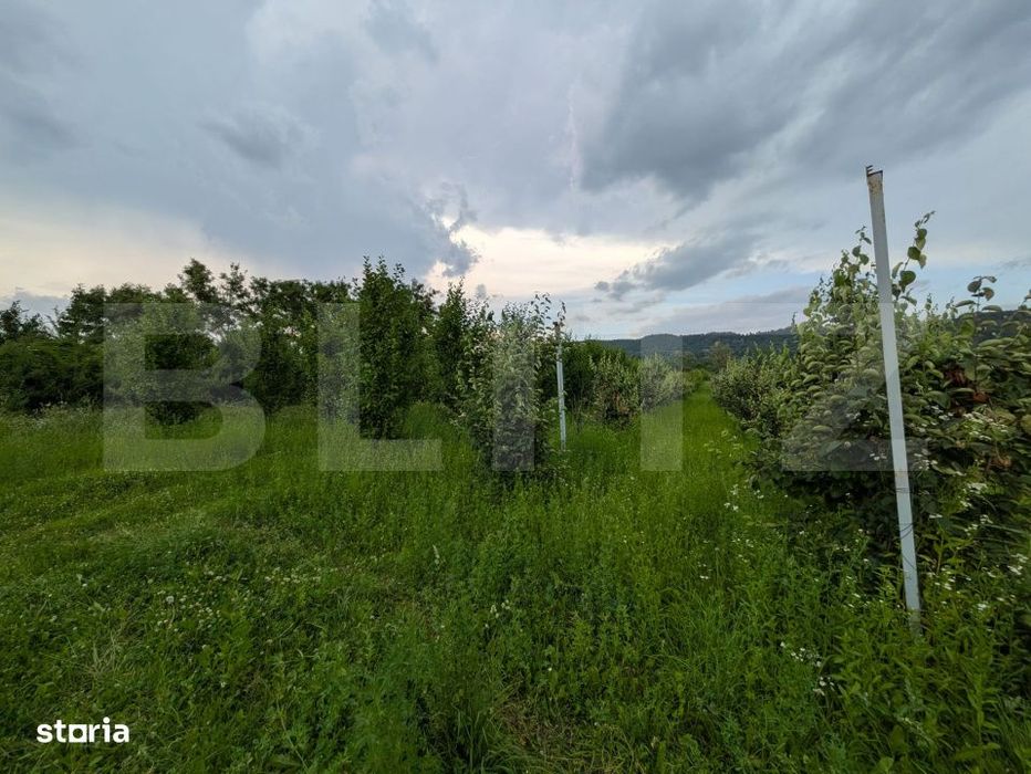 Vand teren intravilan, in Voinesti
