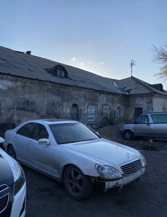 Продам лису армянку