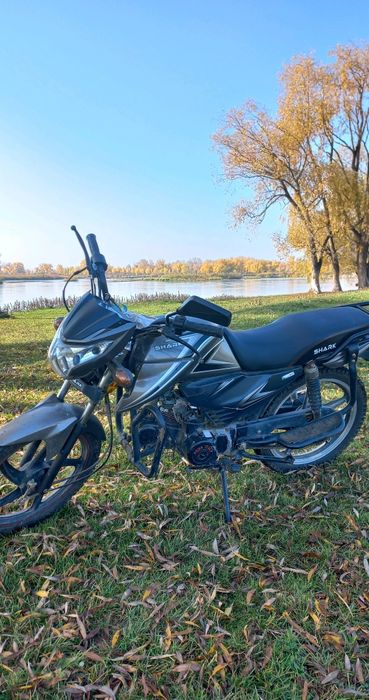 Shark 125        .