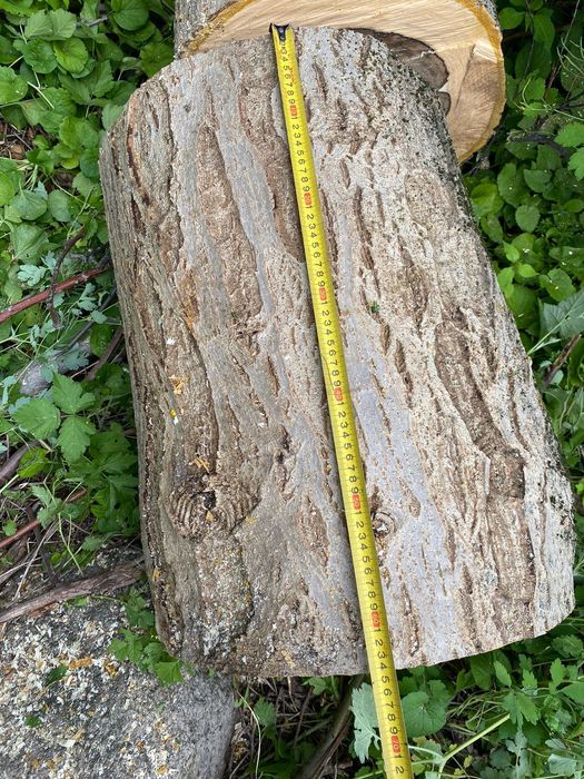 продам грецкий орех древесина