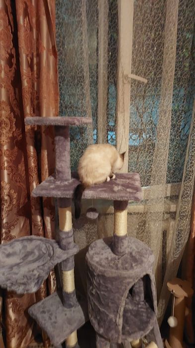 Продам кошачий домик