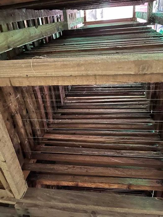 Rame albine 1/1 Dadant - jud. Arad