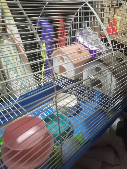 Большая клетка для хомяков