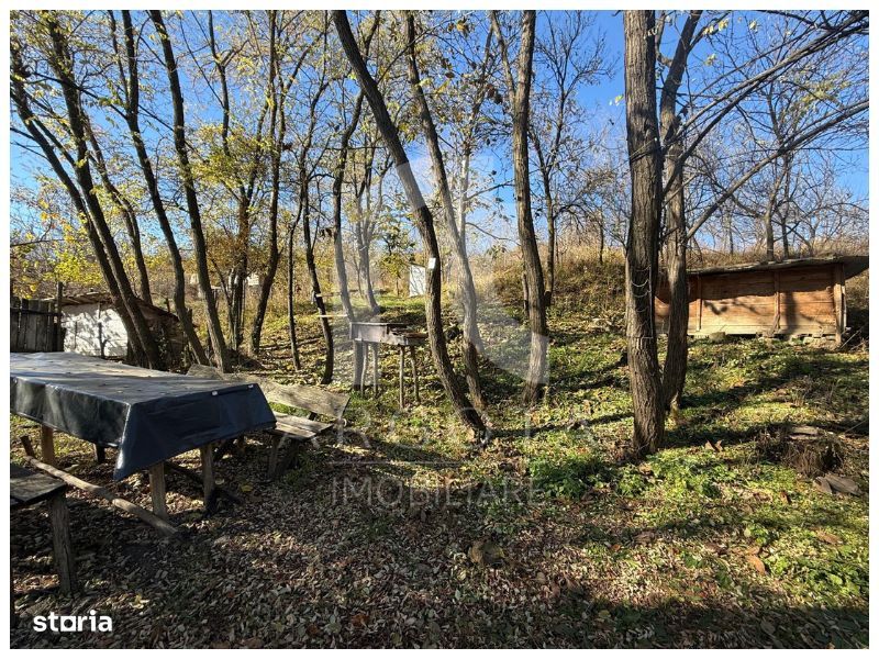 Teren Cozieni - Valea Banului | Comision Zero