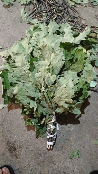 Веник для баниии