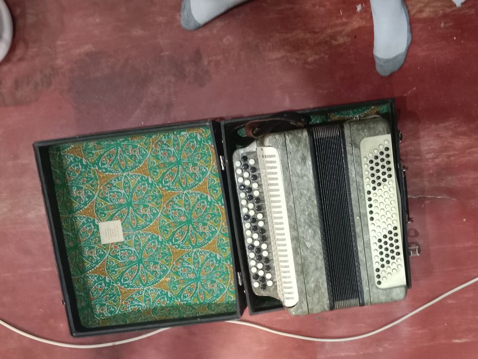 Продам боян в хорошем состоянии