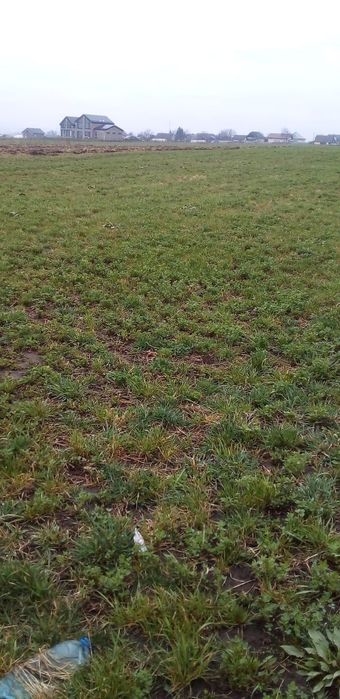 Teren intravilan de vanzare 1500 mp front 29in oraș salcea județ Suceava strada paieni Nr 30 A