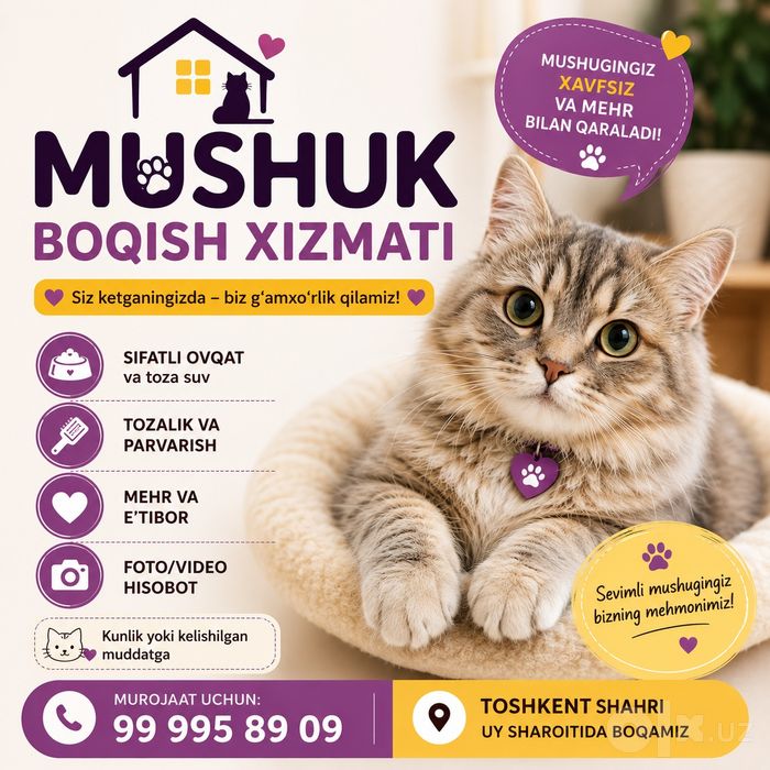 Mushuk boqish xizmati