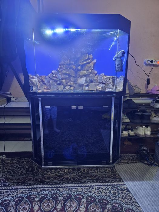 Srochniy akvarum sotiladi