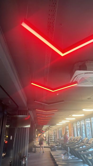 Дизайнерский LED светильник птичка