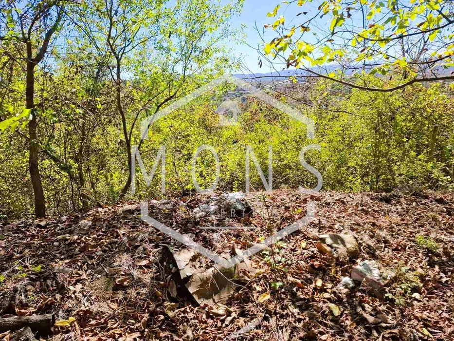 Продава се Парцел в с. Присово, Област Велико Търново - 1350 кв.м за 17 €/кв.м - Снимка #10