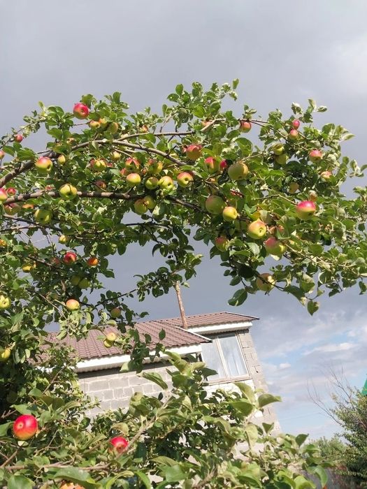 Продам частный дом