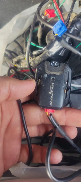 Dominant 909s arginal