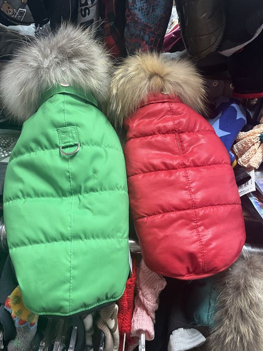 Дрешка за кученце малко