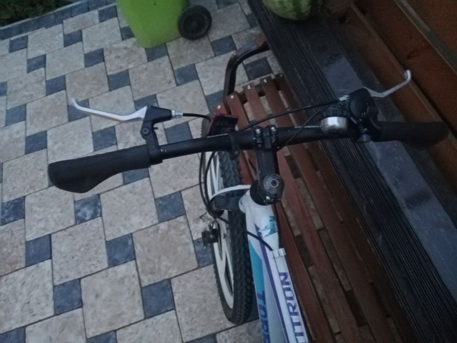 Torrent Optitron 2020 года