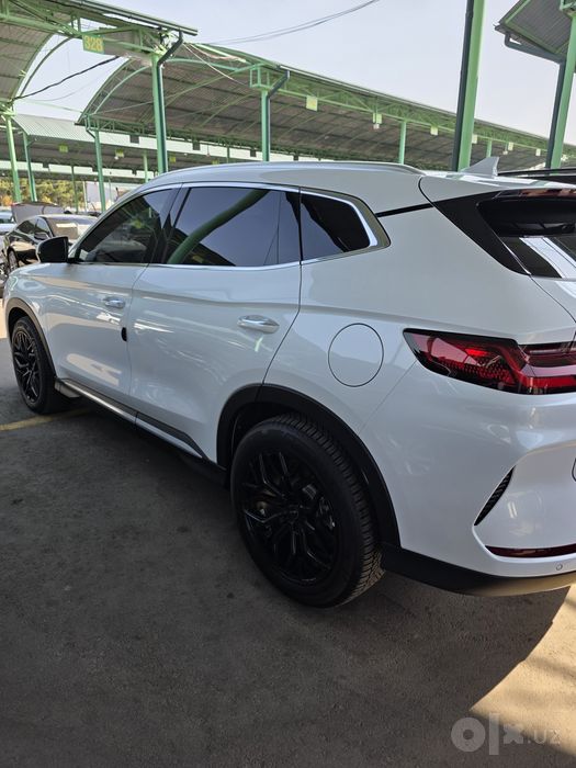 Byd champion gibrid 2024-25
