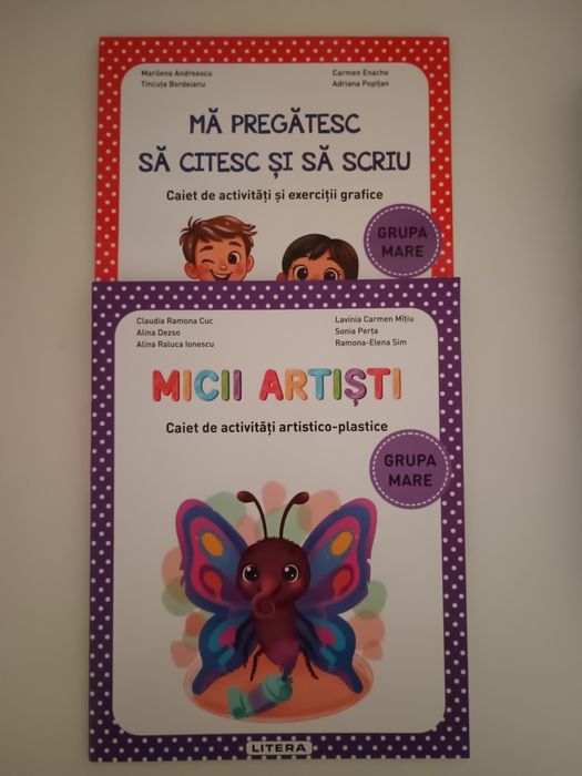 Caiete auxiliare - grupa mare