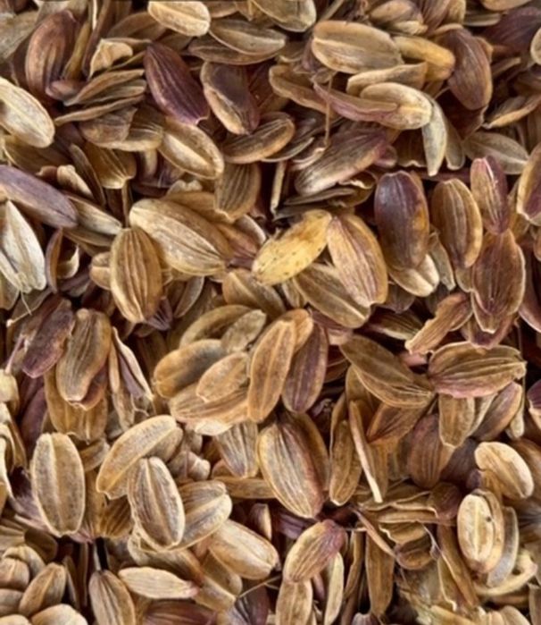 Каврак уруг сотилади