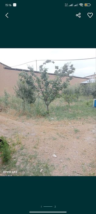 3 soʻtih yer sotladi