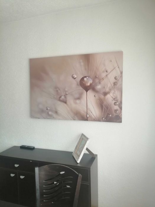 Картина, пано чисто нова